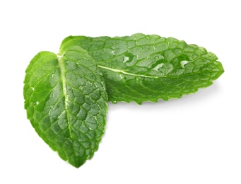 Wet leaves of fresh mint isolated on white