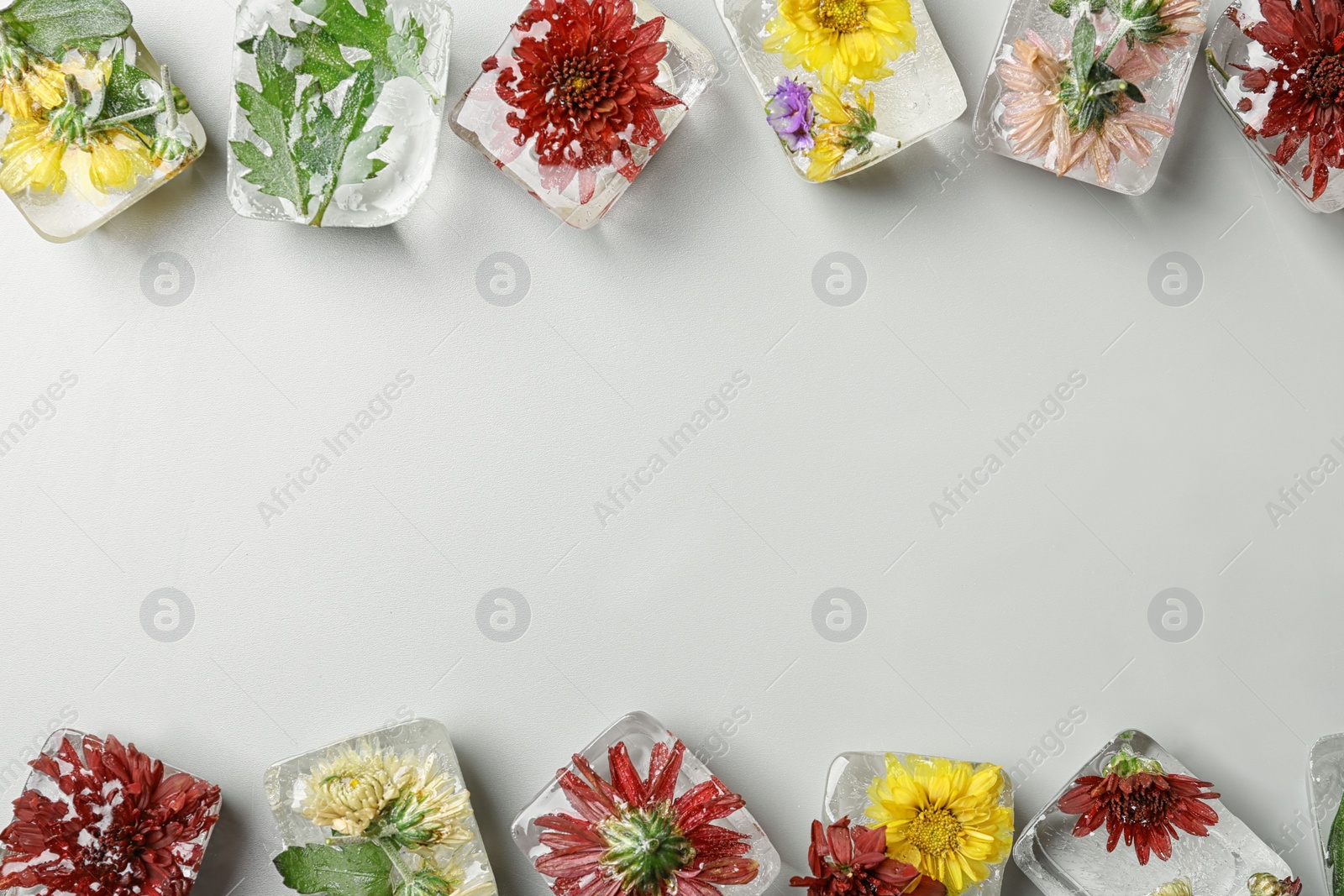 Photo of Ice cubes with flowers on grey background, flat lay. Space for text
