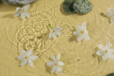 Beautiful daffodils and spa stones in water on pale yellow background, top view