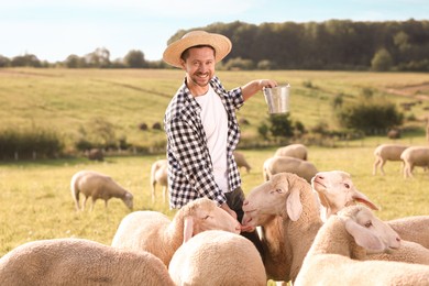 Photo of Smiling man with bucket feeding sheep on pasture at farm