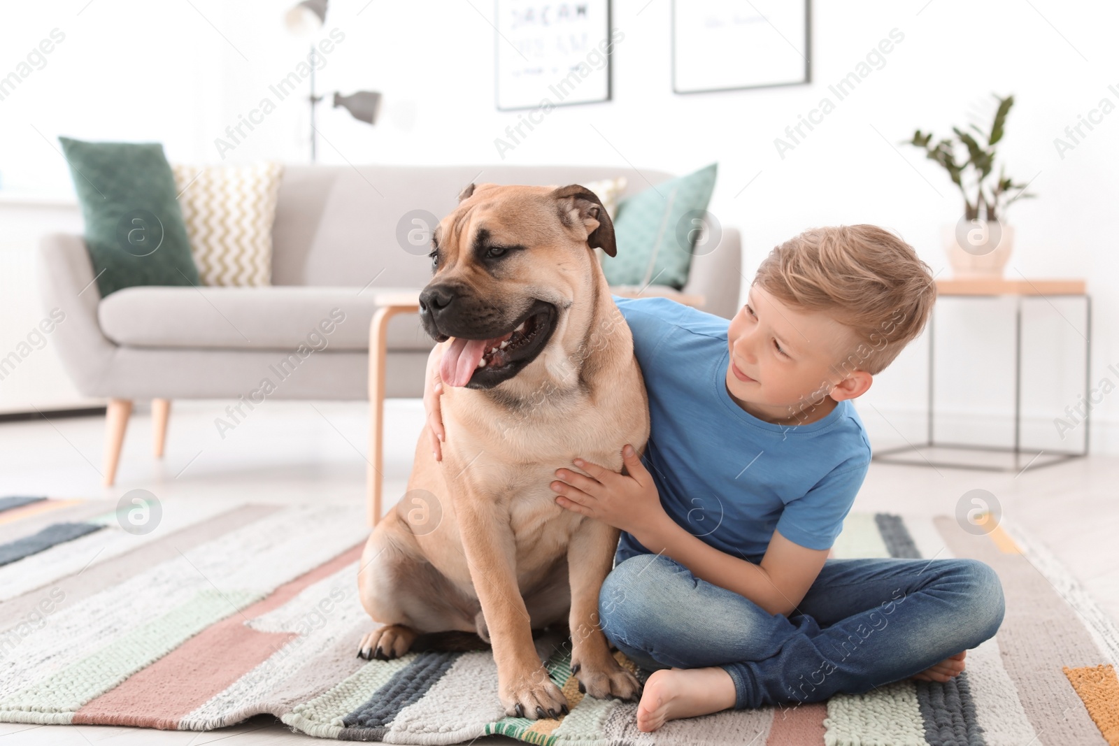 Photo of Cute little child with his dog at home