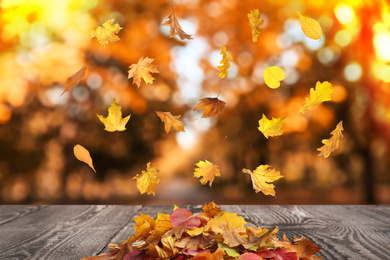 Image of Autumn leaves falling on wooden surface outdoors