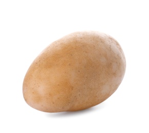 Photo of Fresh ripe organic potato on white background