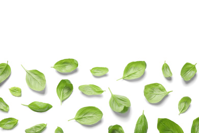 Fresh green basil leaves on white background, top view