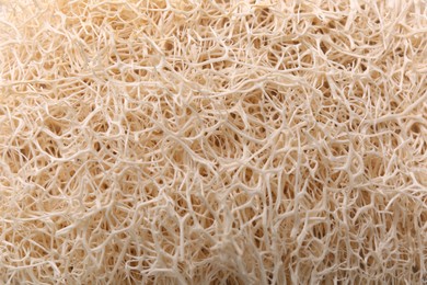 Photo of Loofah sponge as background, closeup. Personal hygiene product