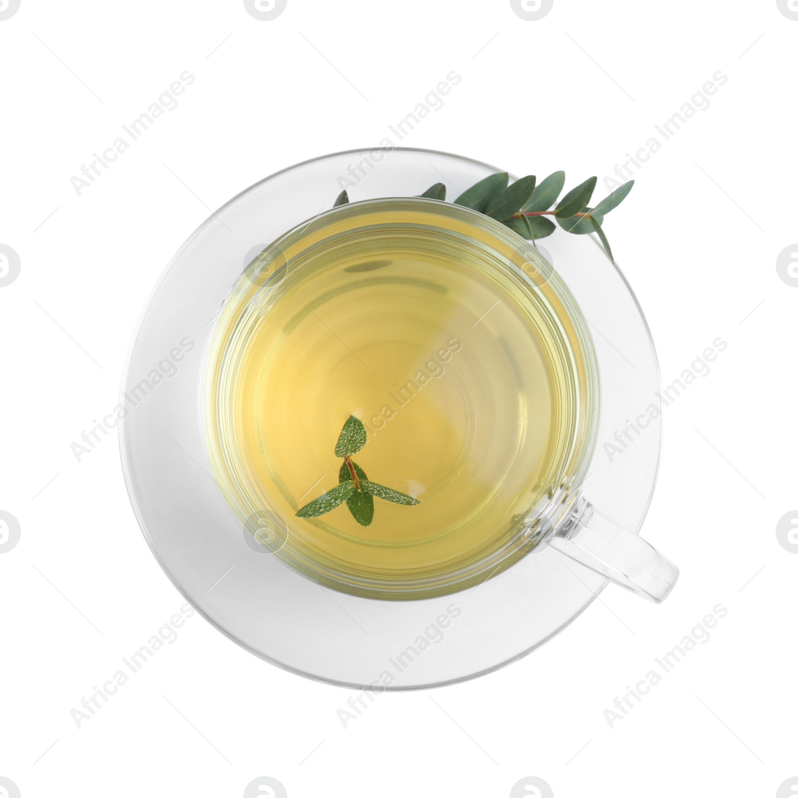 Photo of Cup of green tea with eucalyptus leaves on white background, top view