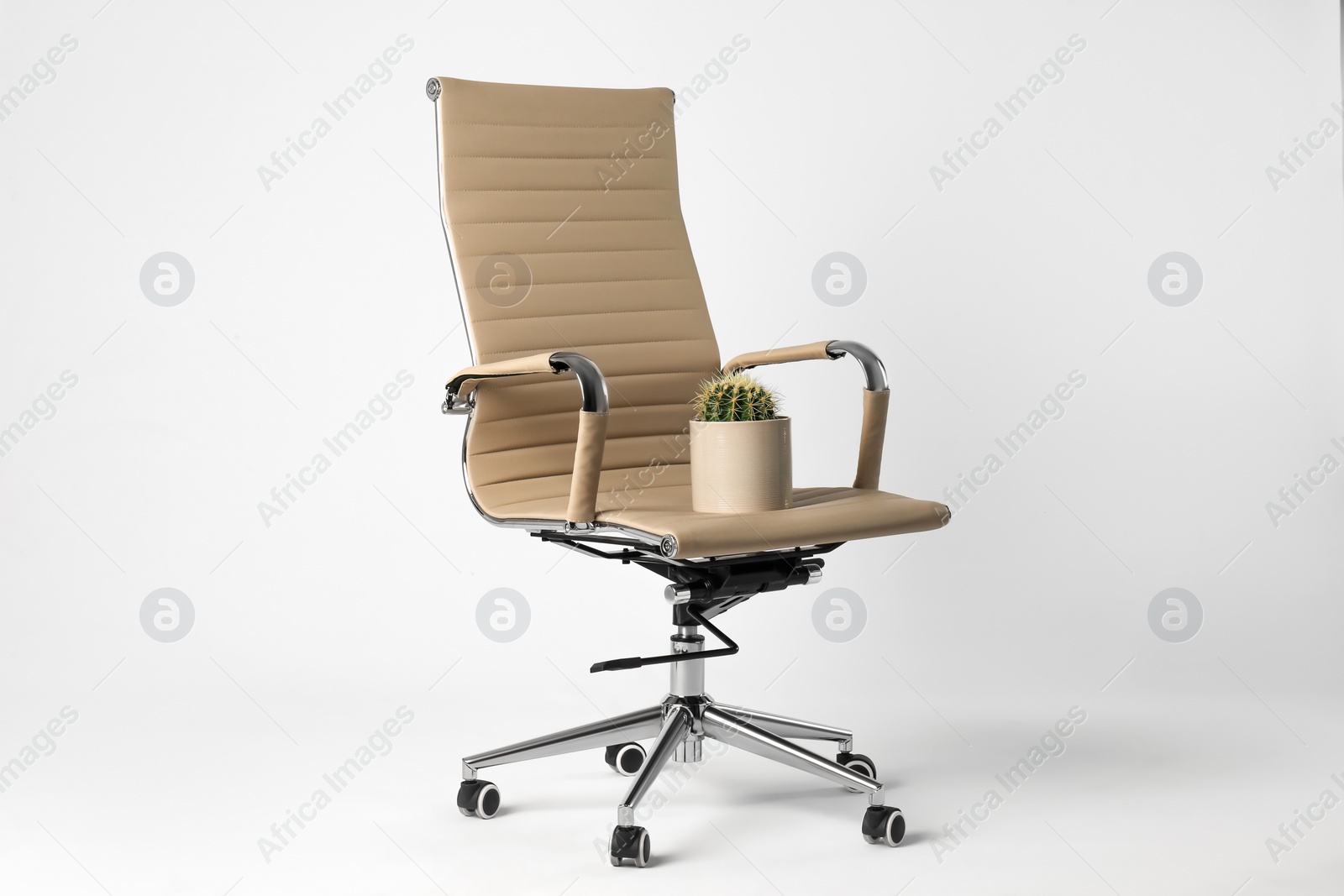 Photo of Office chair with cactus isolated on white. Hemorrhoids concept