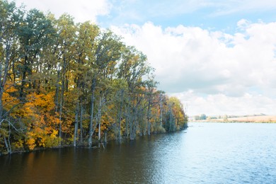 Image of Beautiful view of autumn forest on riverbank