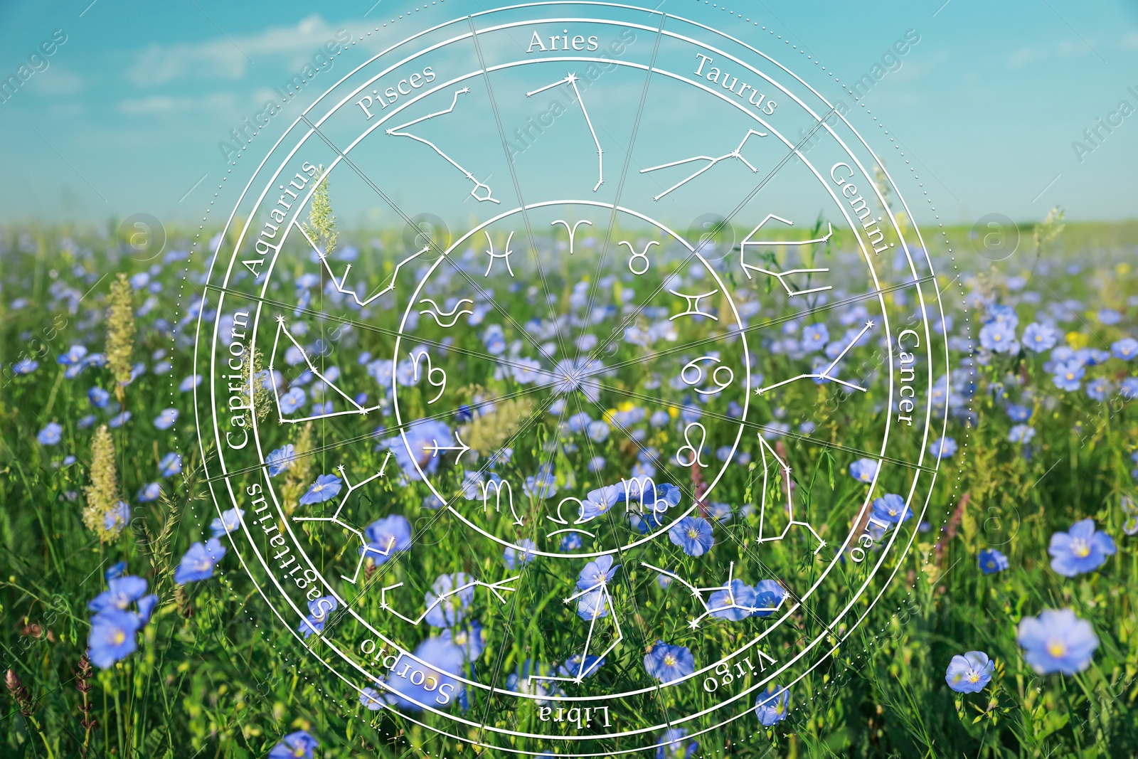 Image of Zodiac wheel and field of beautiful blooming flax