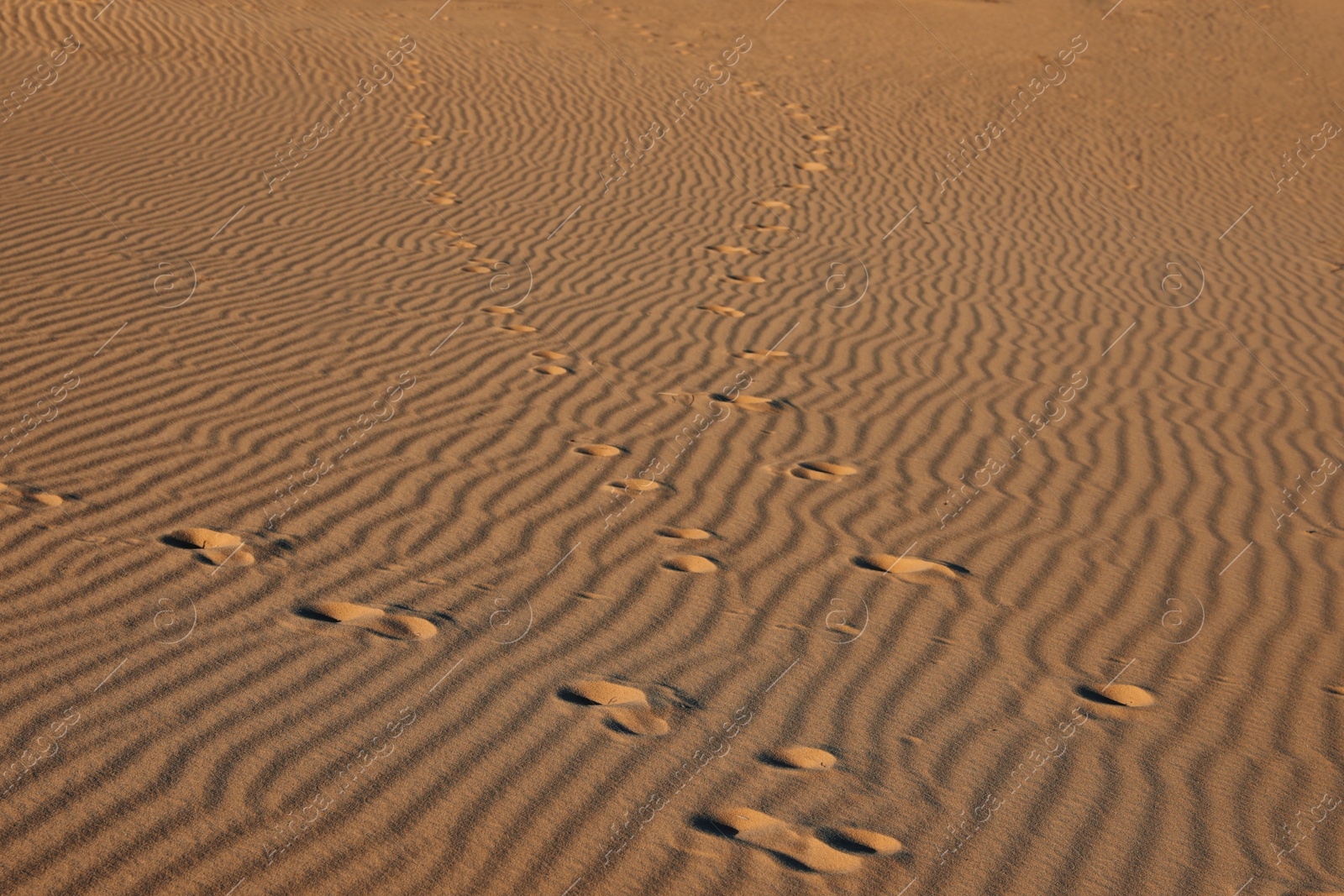 Photo of Trail of footprints on sand in desert