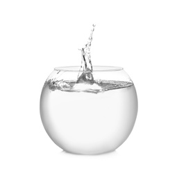 Photo of Splash of water in round fish bowl on white background