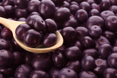 Wooden spoon and fresh ripe acai berries as background, closeup