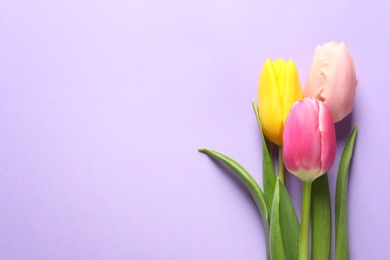 Photo of Beautiful spring tulips on color background, top view with space for text. International Women's Day