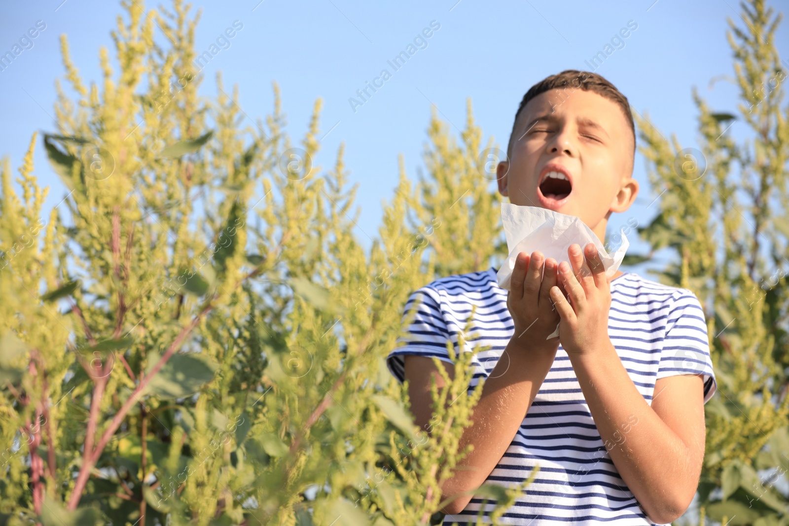 Photo of Little boy suffering from ragweed allergy outdoors