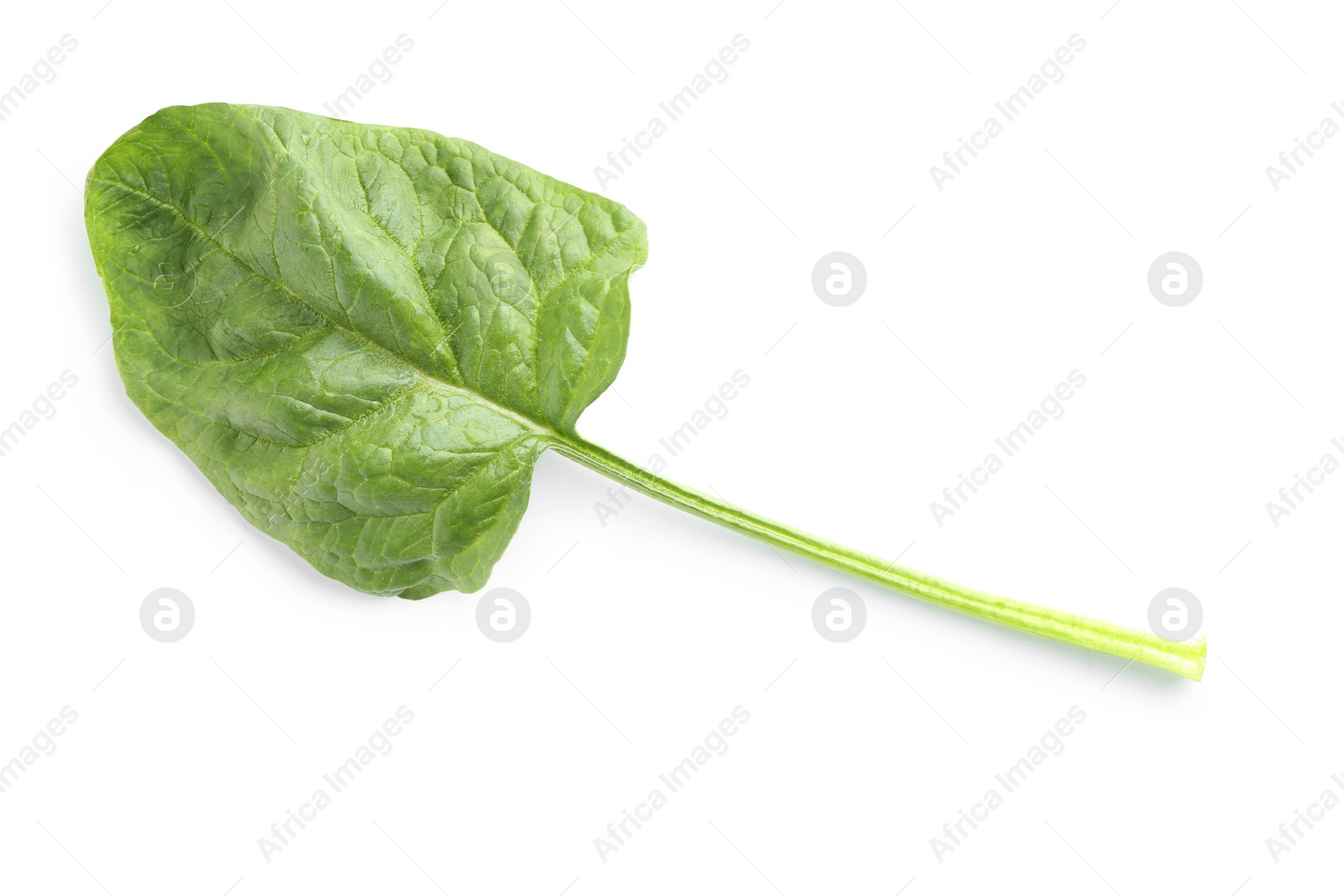 Photo of Fresh leaf of spinach isolated on white, top view