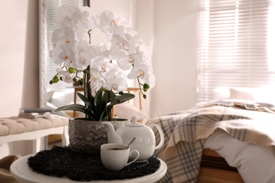 Photo of Beautiful white orchids and tea set on table in room, space for text