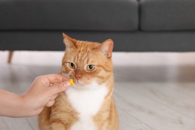 Photo of Woman giving vitamin pill to cute ginger cat indoors, closeup