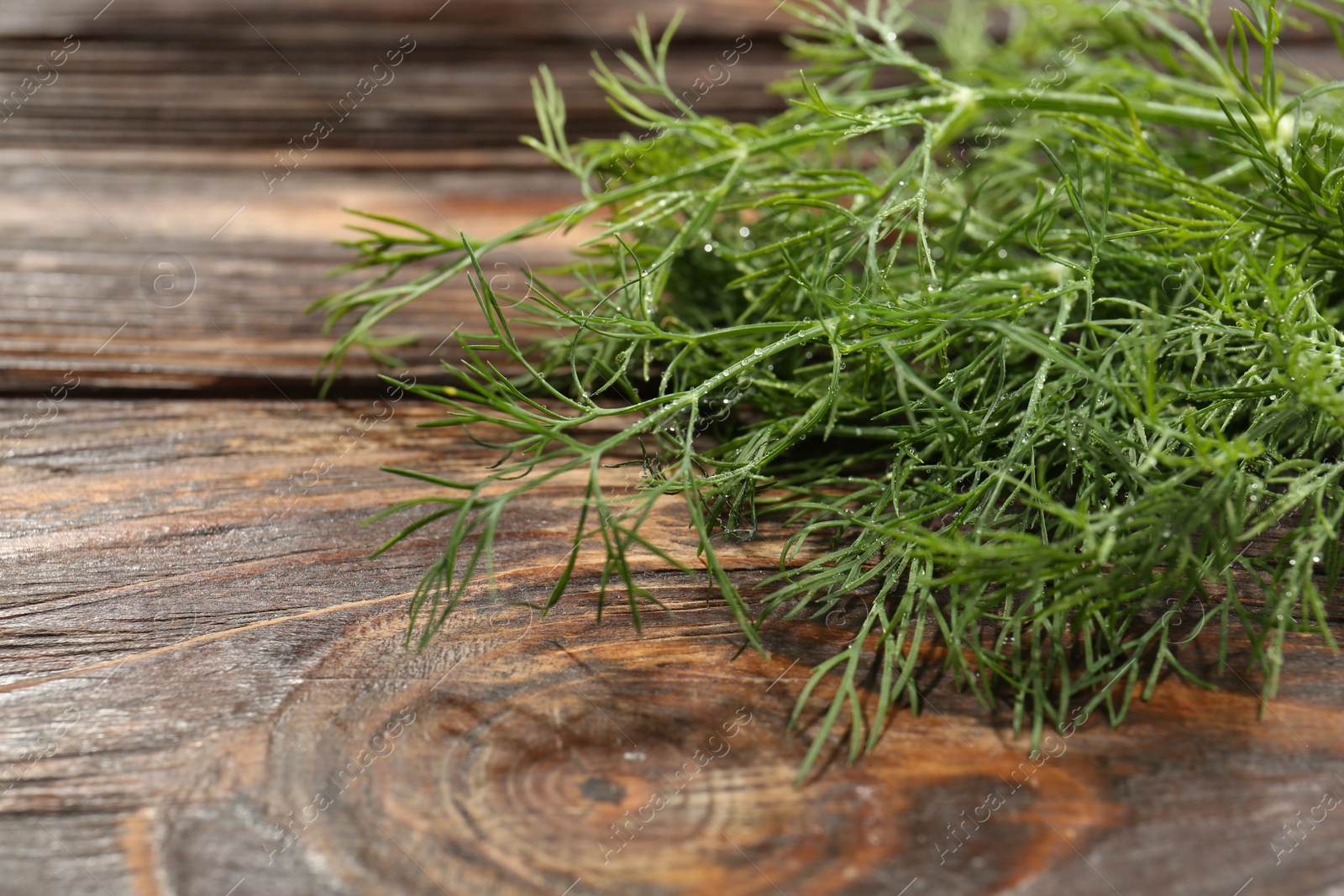 Photo of Fresh green dill with water drops on wooden table, closeup. Space for text