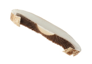 Photo of Slice of raw mushroom on white background