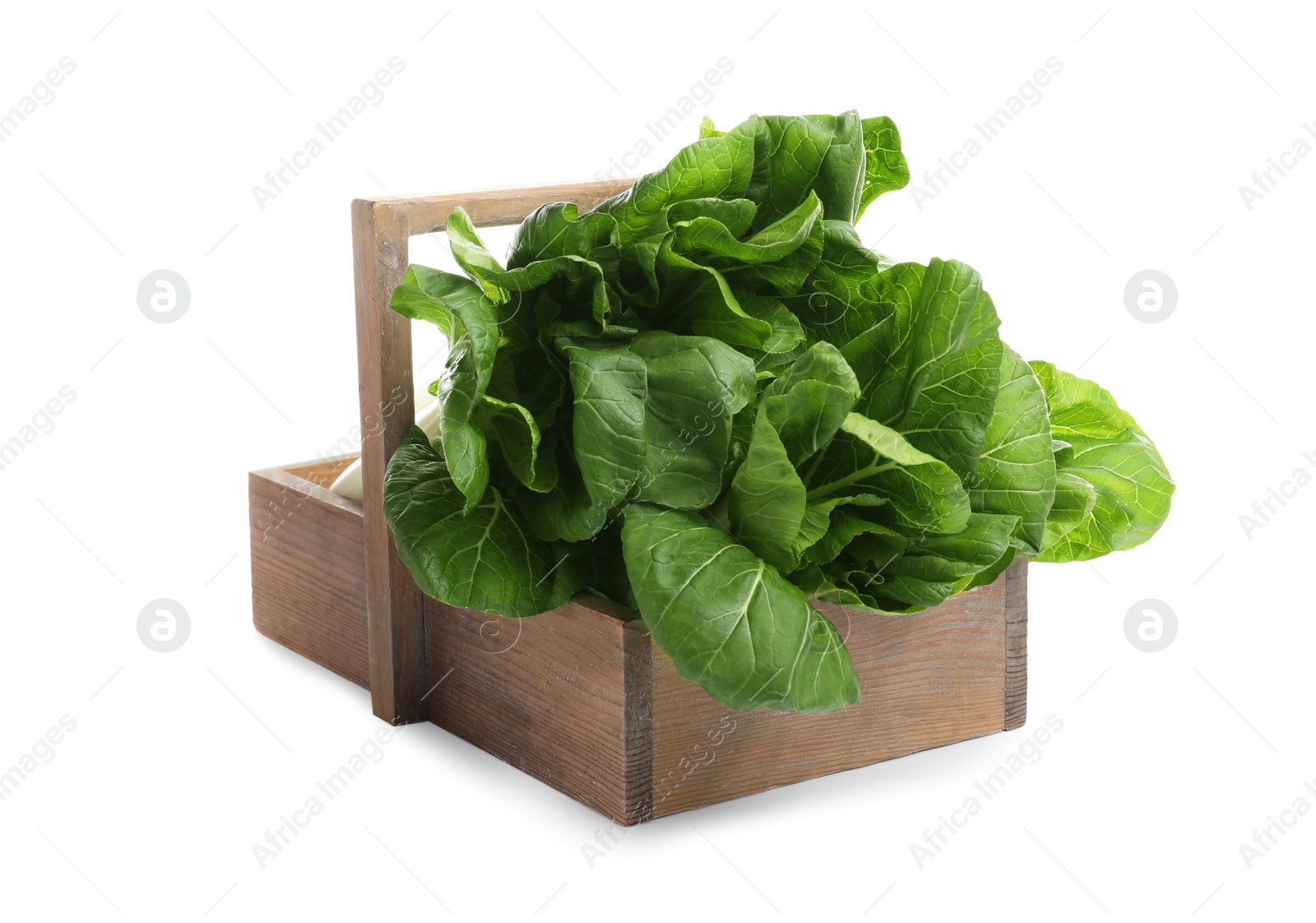 Photo of Fresh green pak choy cabbages in wooden crate on white background