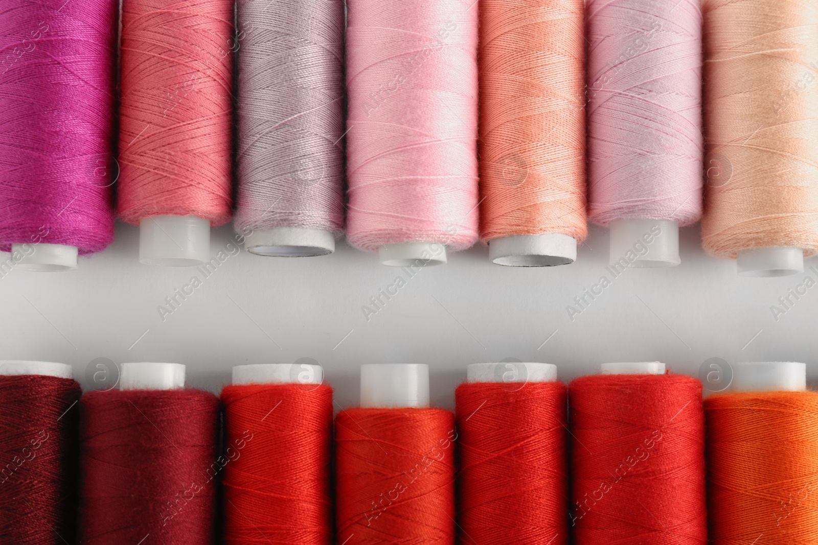 Photo of Set of colorful sewing threads on white background, flat lay