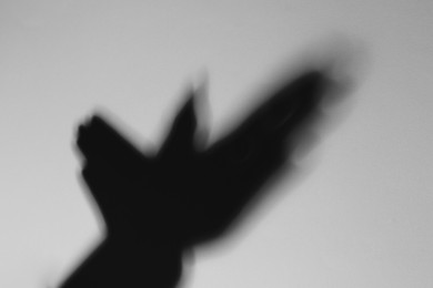 Photo of Shadow of hands like bird on light background. Black and white effect