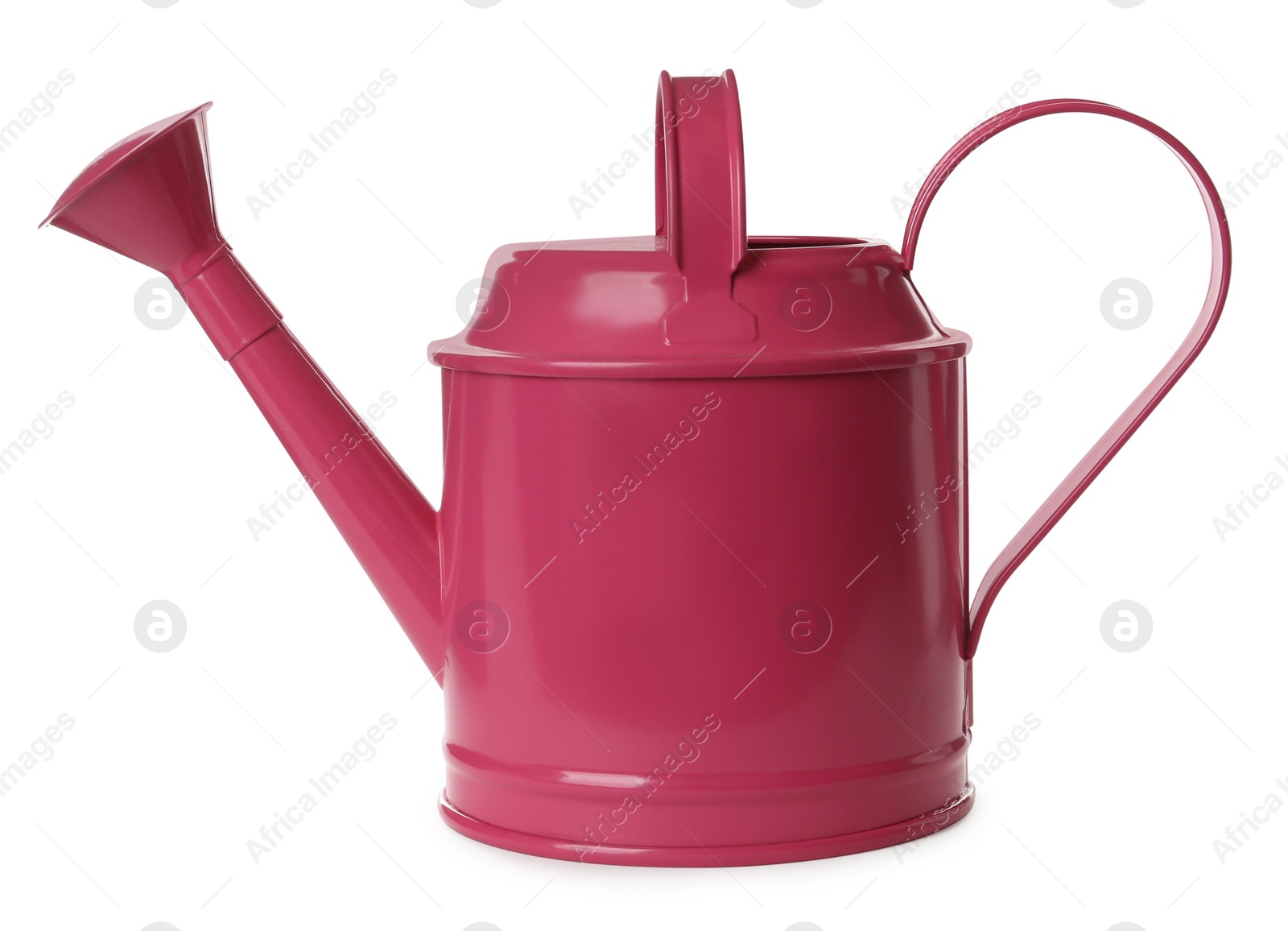 Photo of Pink metal watering can isolated on white