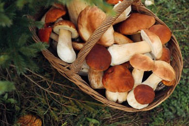 Wicker basket with fresh wild mushrooms outdoors, top view