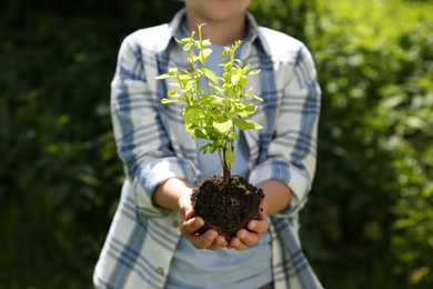 Child holding soil with young green tree outdoors, closeup