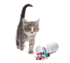 Vitamins for pets. Cute kitten and bottle with different pills on white background