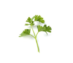 Fresh green organic parsley on white background