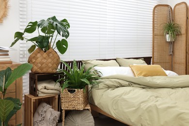 Comfortable bed and beautiful green houseplants in bedroom