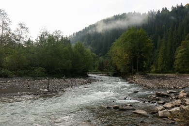 Picturesque view of beautiful river flowing near forest in morning