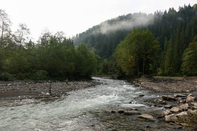 Photo of Picturesque view of beautiful river flowing near forest in morning