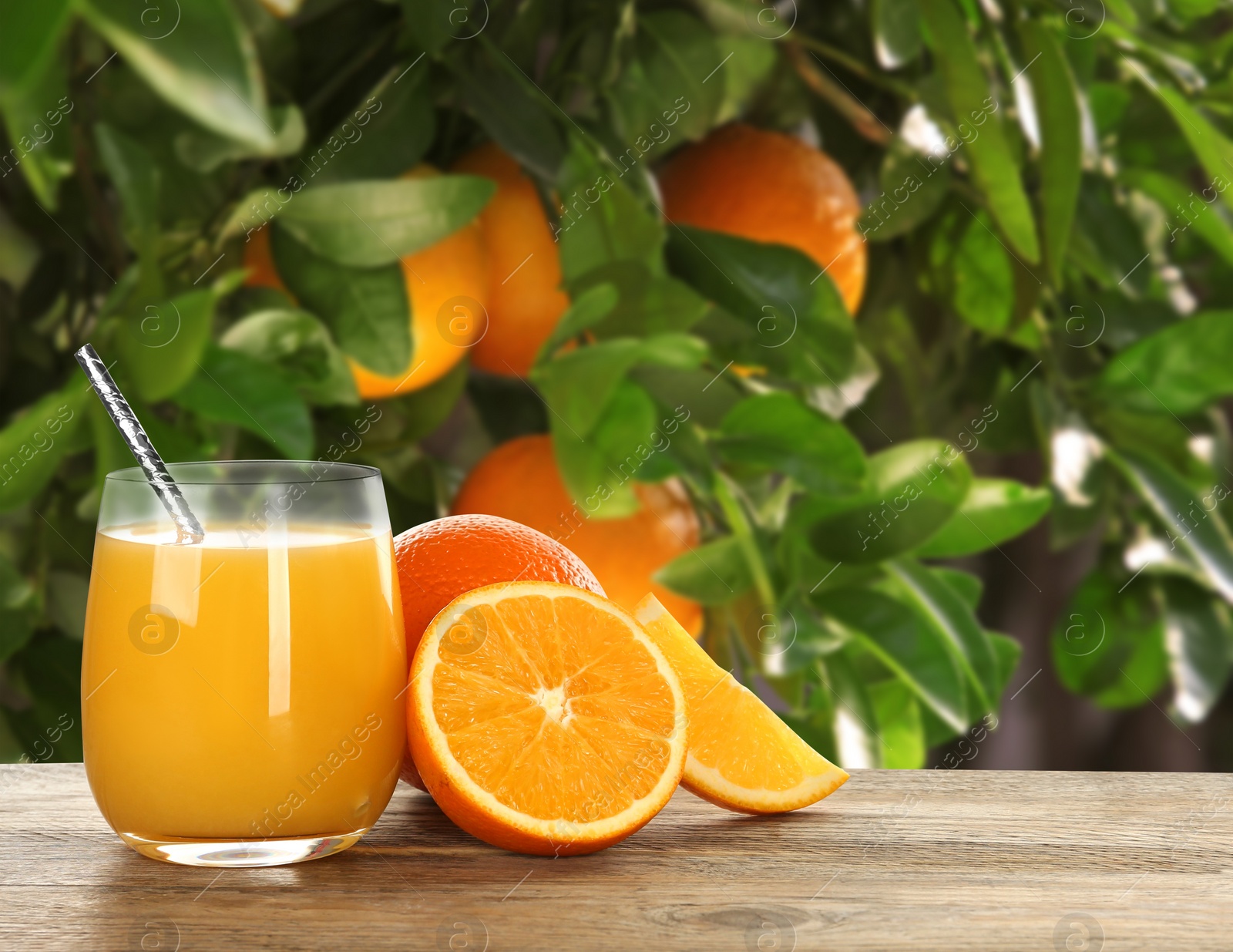 Image of Fresh orange juice on wooden table in orchard. Space for text