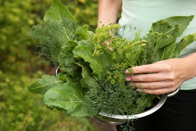 Photo of Woman holding colander with fresh green herbs outdoors, closeup