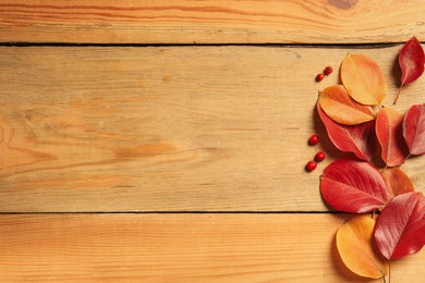 Composition with autumn leaves and space for text on wooden background, top view