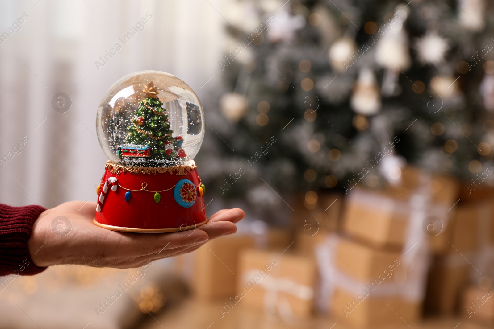 Photo of Man holding snow globe with Christmas tree at home, closeup. Space for text