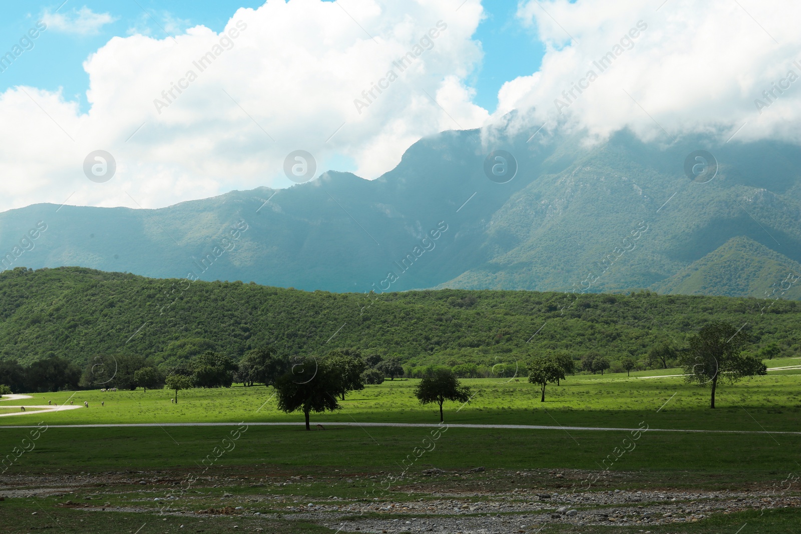 Photo of Picturesque view of mountains and green meadow