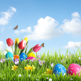 Image of Bright Easter eggs and flowers in green grass against blue background, space for text