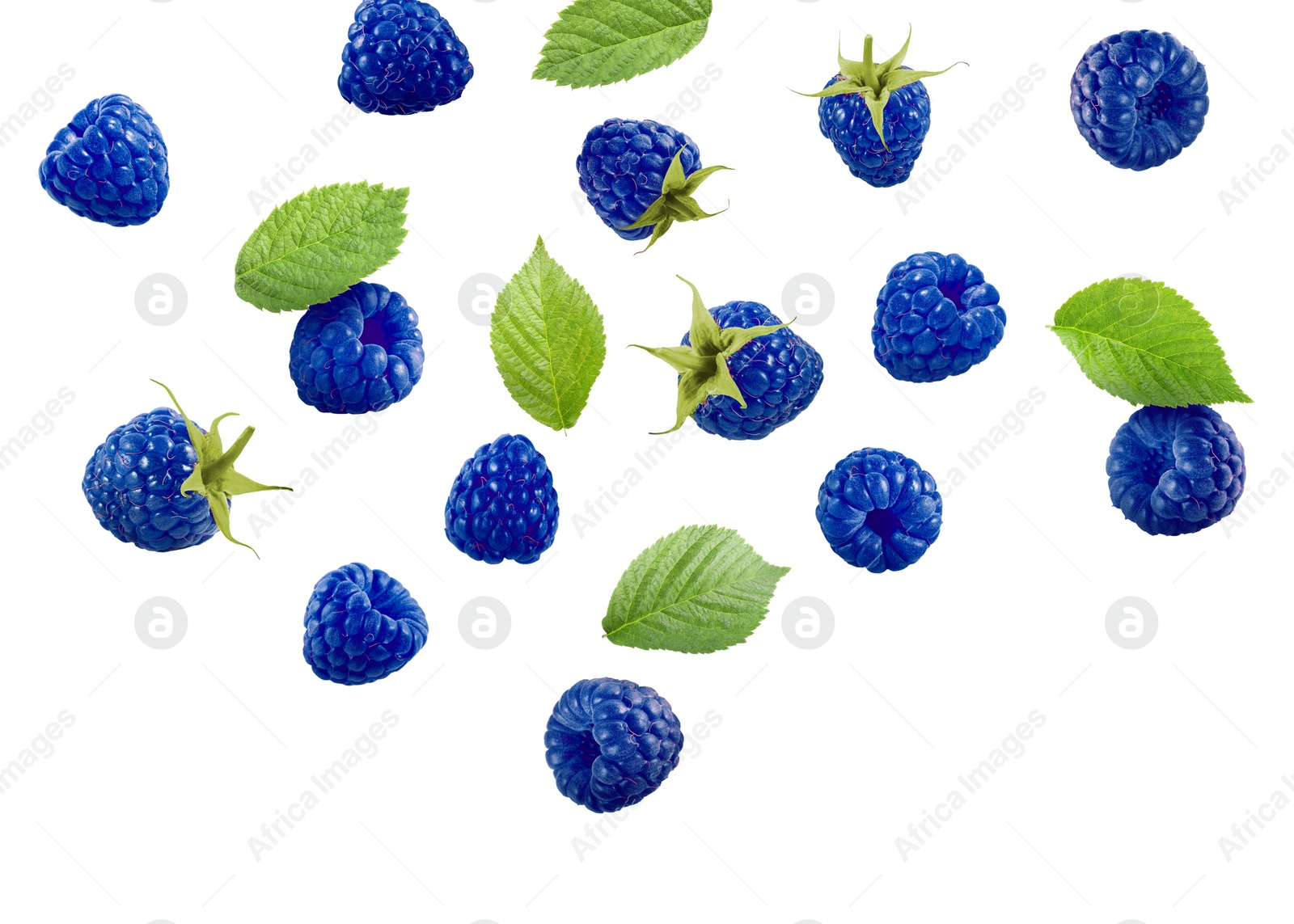 Image of Many fresh blue raspberries and green leaves falling on white background