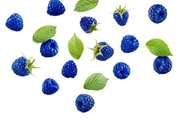 Image of Many fresh blue raspberries and green leaves falling on white background