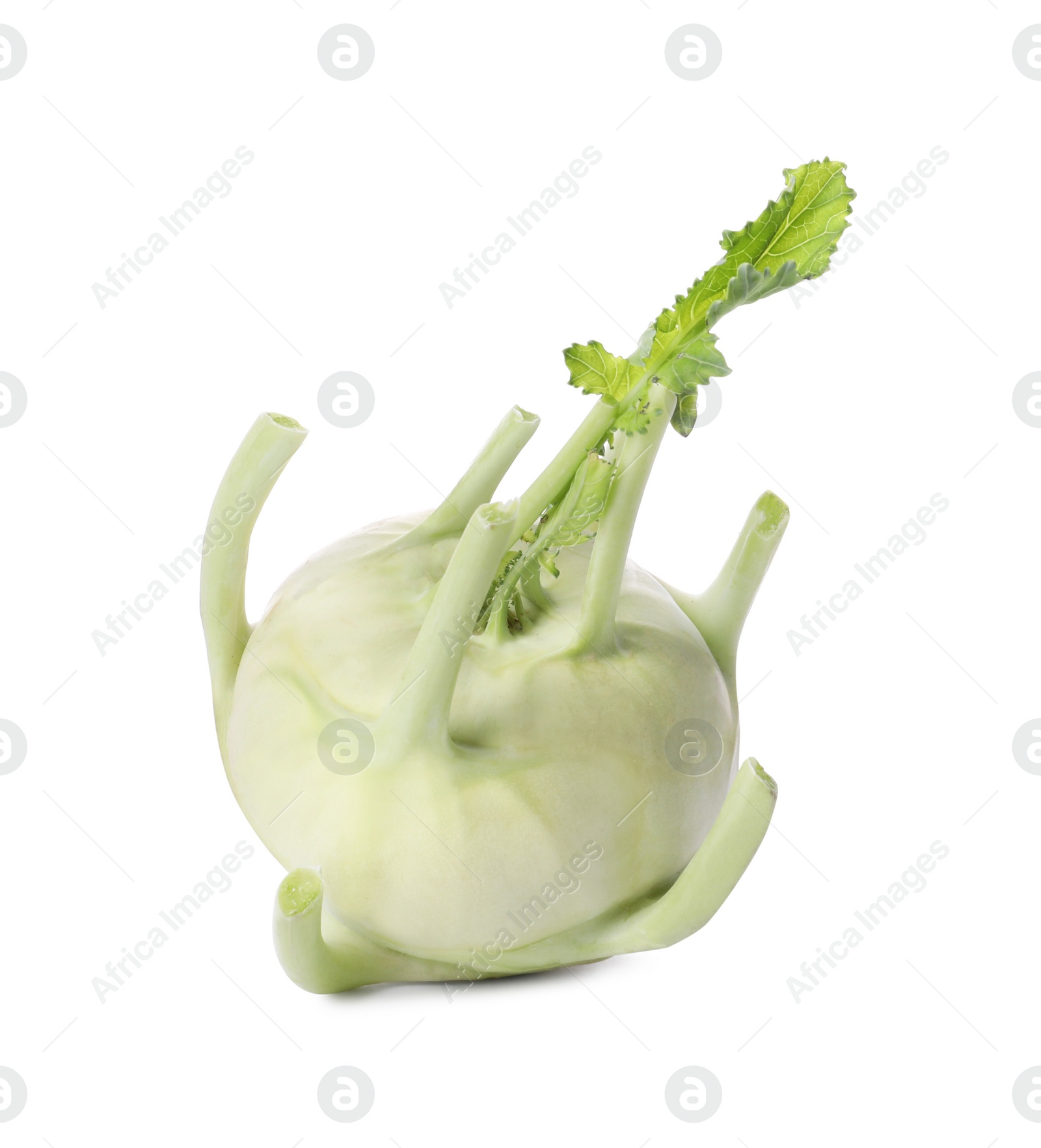 Photo of Whole ripe kohlrabi plant on white background