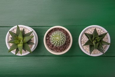 Many different succulent plants in pots on green wooden table, flat lay