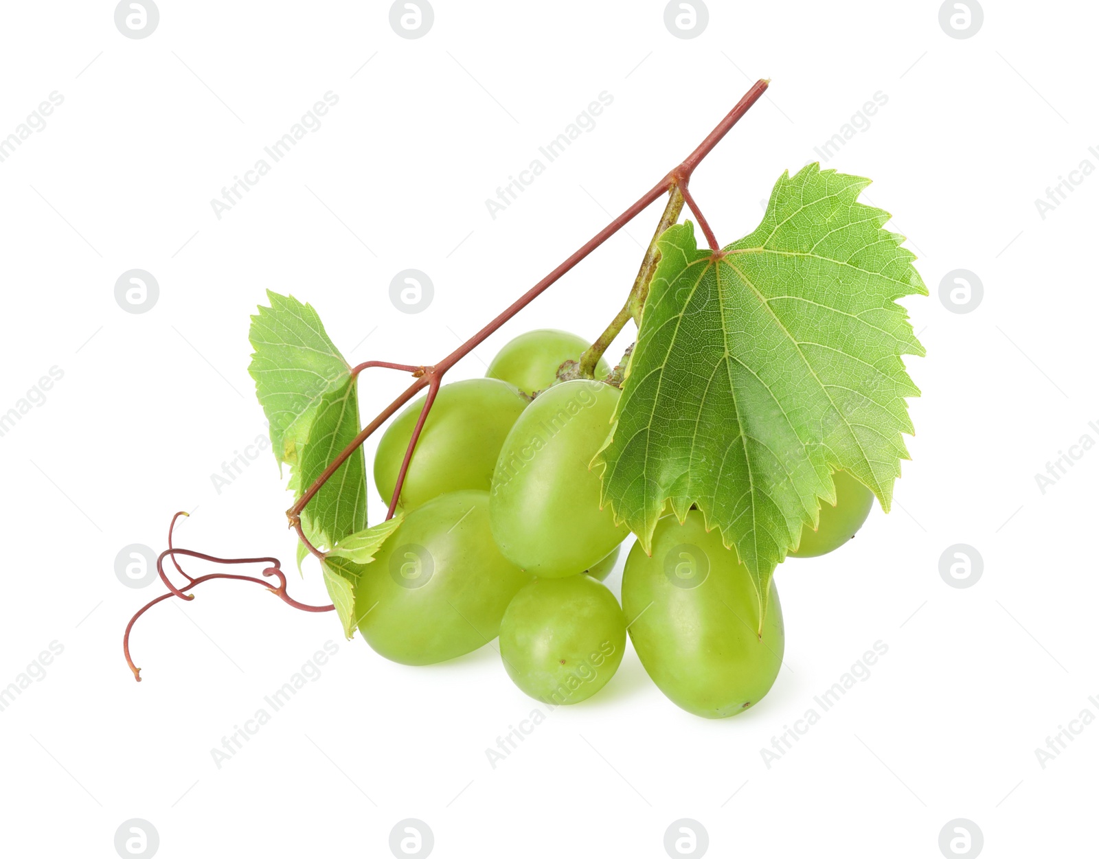 Photo of Fresh grapes and leaves isolated on white