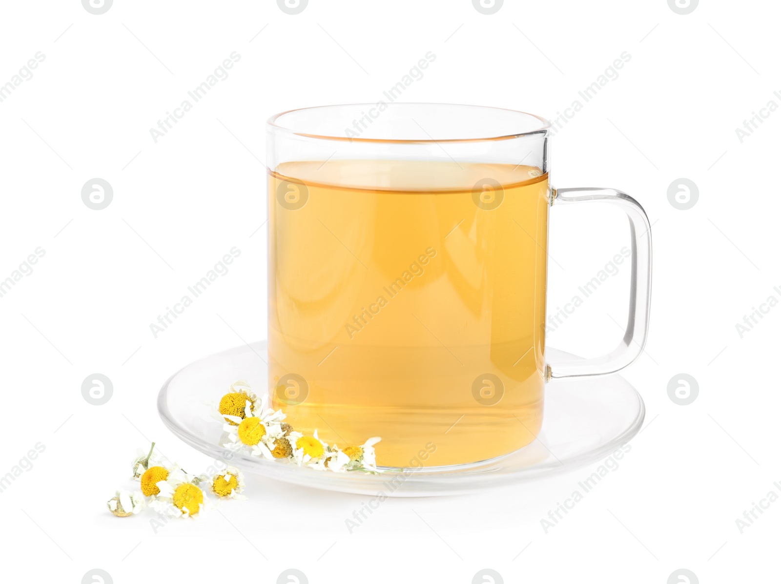 Photo of Fresh chamomile tea and dry flowers isolated on white