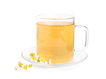 Photo of Fresh chamomile tea and dry flowers isolated on white