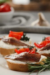 Delicious sandwiches with cream cheese, anchovies and tomatoes on plate, closeup