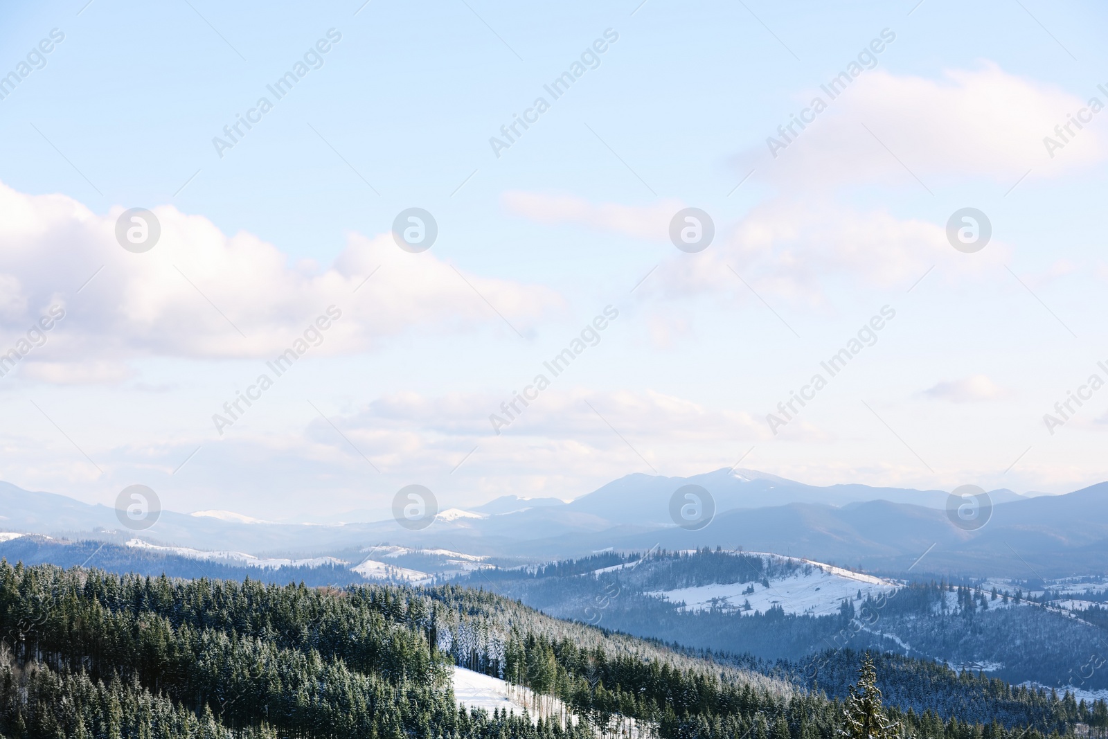 Photo of Beautiful mountain landscape with forest on sunny day in winter