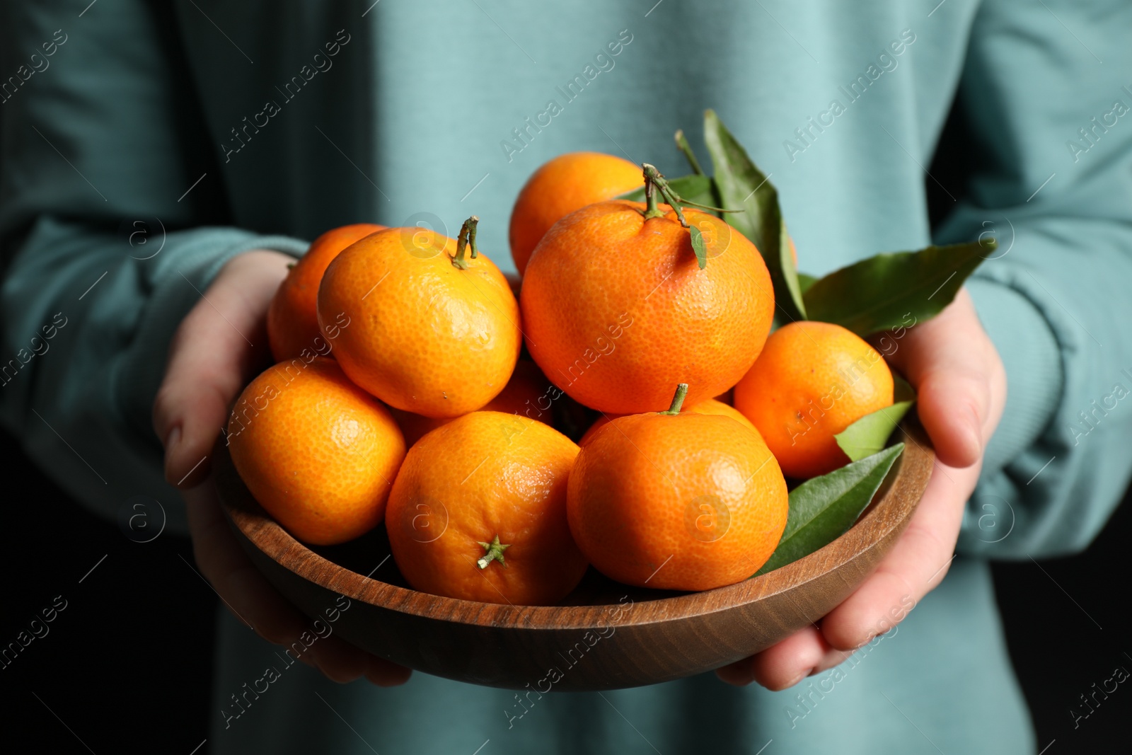 Photo of Woman holding bowl of tangerines, closeup. Juicy citrus fruit